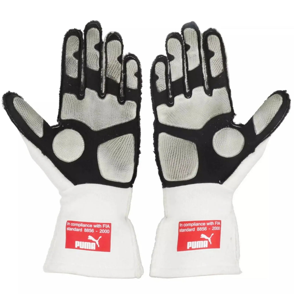 2010 Fernando Alonso F1 Race Gloves - Japanese GP-Xtreme_Racegear