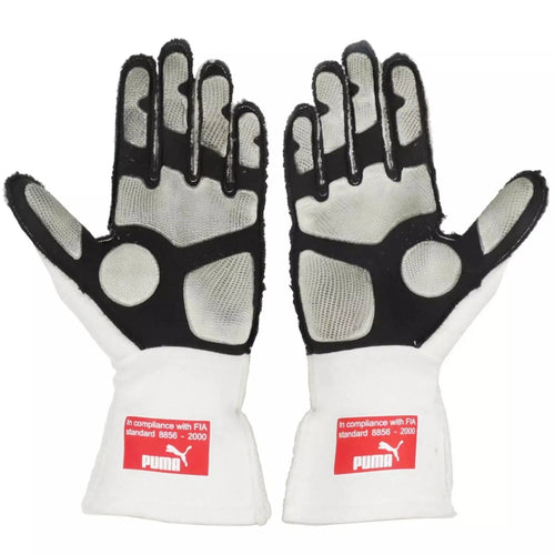 2010 Fernando Alonso F1 Race Gloves - Japanese GP-Xtreme_Racegear