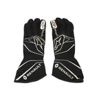 2017 Nico Hülkenberg F1 Racing Gloves -Xtreme_Racegear