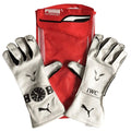2019 Lewis Hamilton Puma F1 Race Gloves - Xtreme Racegear