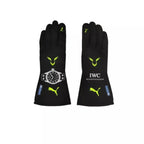 2022 Lewis Hamilton F1 Race Gloves_Xtreme_Racegear