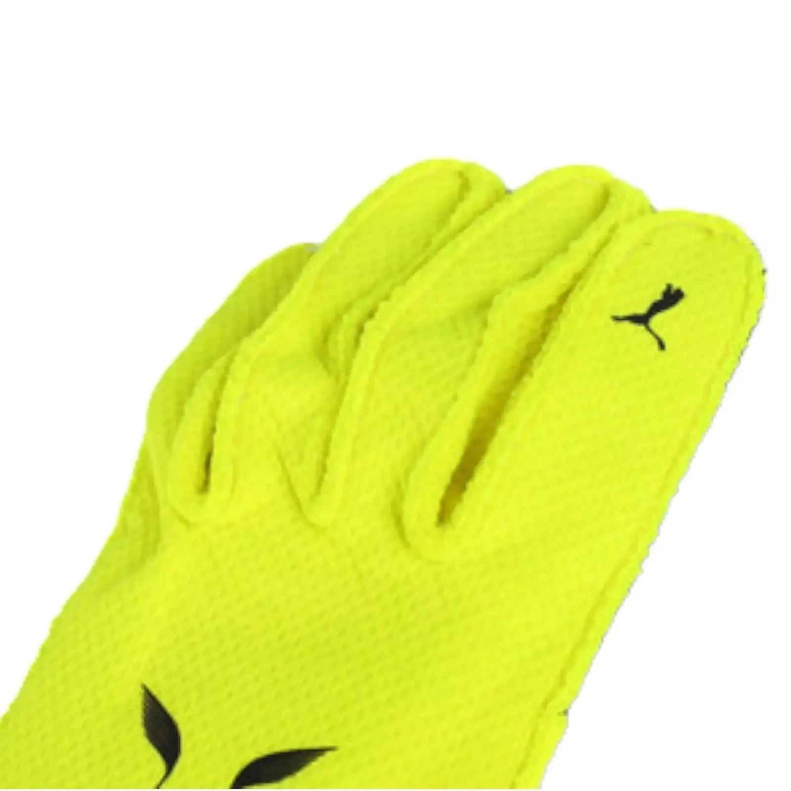 2023 Lewis Hamilton Mercedes-AMG Petronas F1 Race Gloves_
Xtreme Racegear